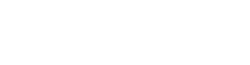 SVAION（スヴァイオン）